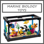 Marine Biology Toys